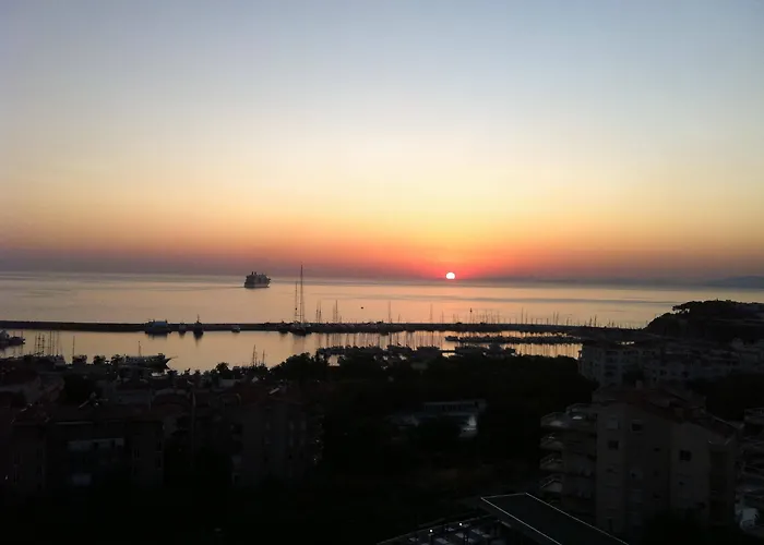 Goldenday Wings クシャダス