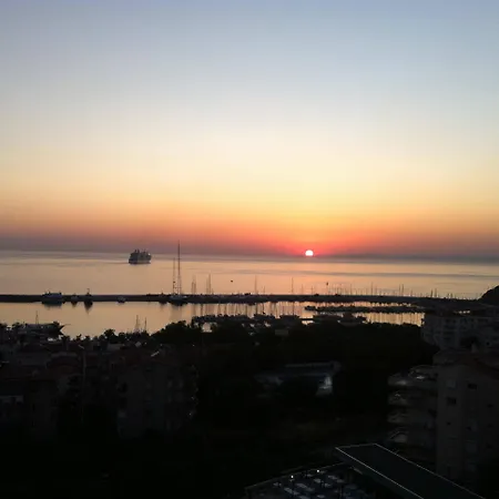 Goldenday Wings 쿠사다시